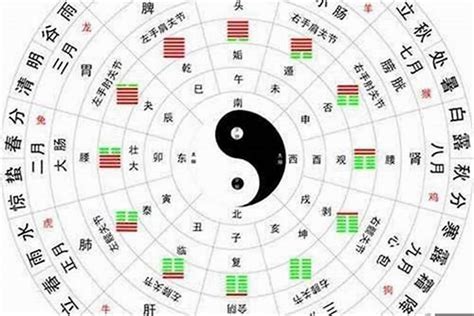 悠 五行|悠字的五行是什么,悠的五行属性及吉利寓意